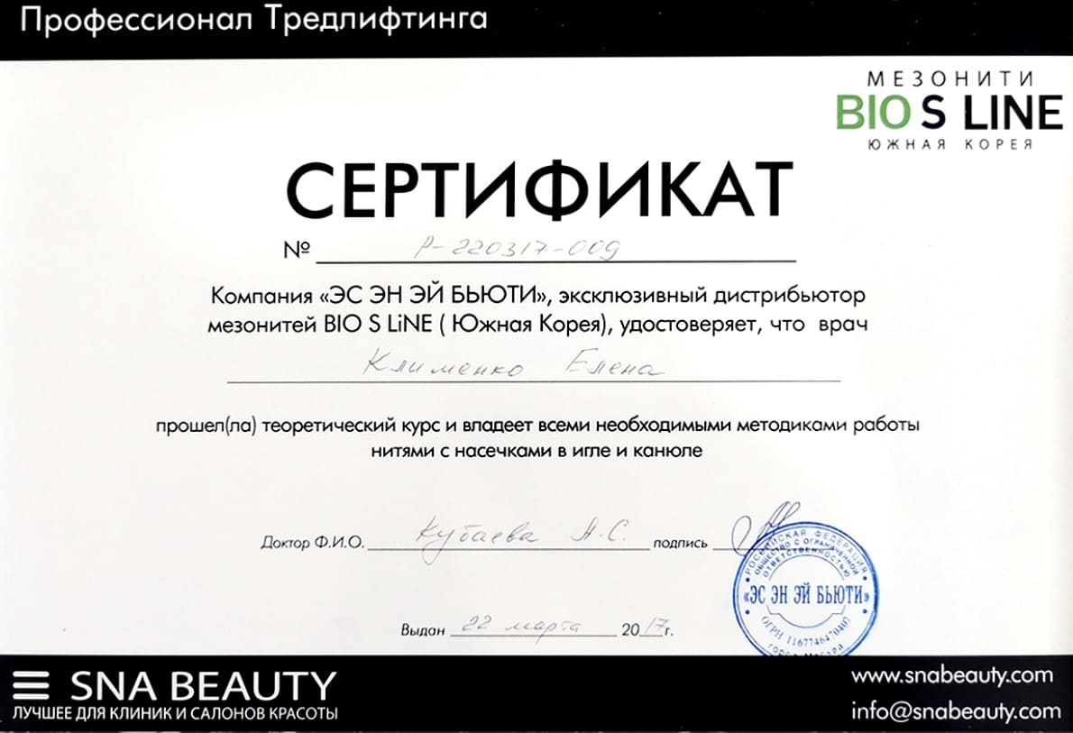 Диплом или сертификат Елена Александровна Елфимова — документ 13 из 37